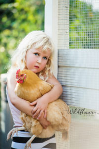 Wildflower Studio Photography, www.wildflowerstudiophoto.com/blog, Photo Shoot, Northern California, Southern California, chicken, children's photographer, little girl, girl and her chicken